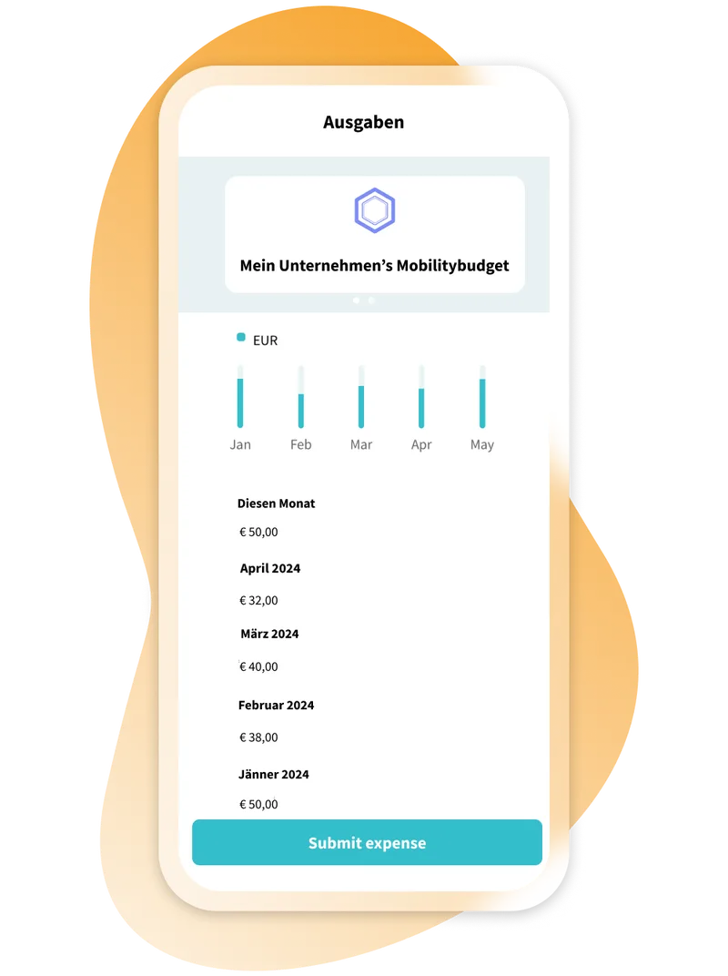 Geschäftskonto in der FluidLife App auf dem Smartphone